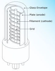 Structure of a vacuum tube triode
